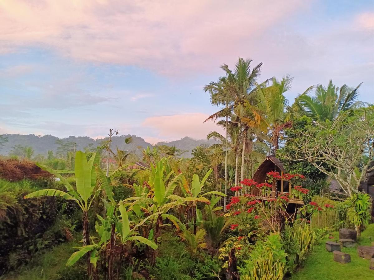 Jero Tumbuk Private Villa Selat Exterior foto