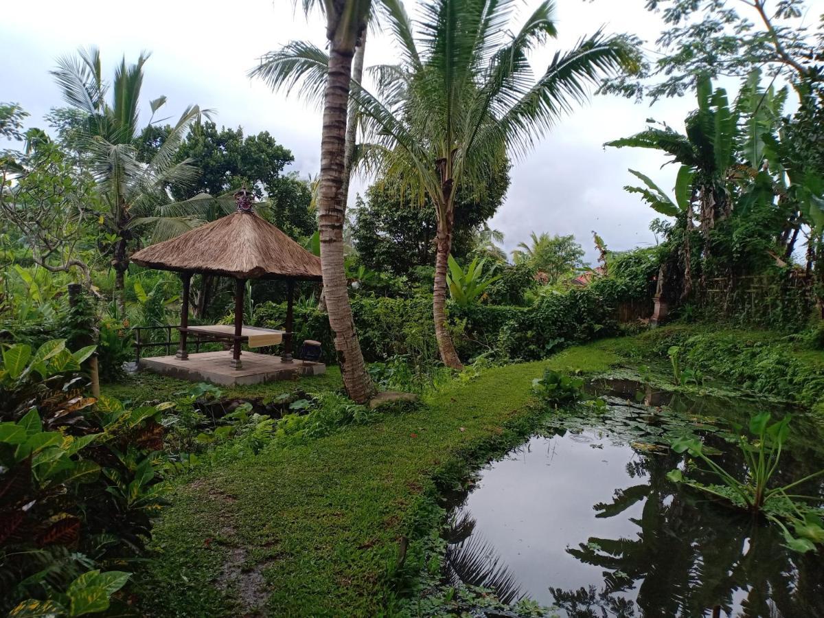 Jero Tumbuk Private Villa Selat Exterior foto