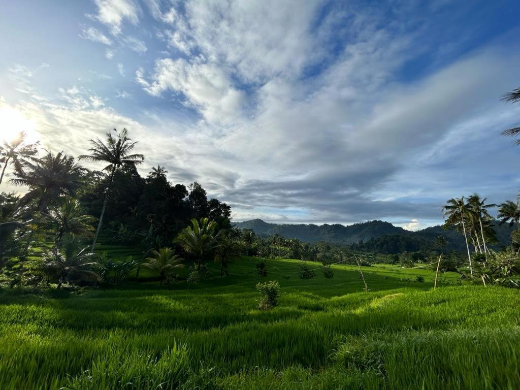 Jero Tumbuk Private Villa Selat Exterior foto