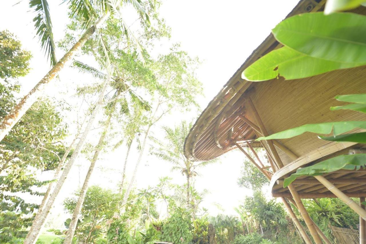 Jero Tumbuk Private Villa Selat Exterior foto
